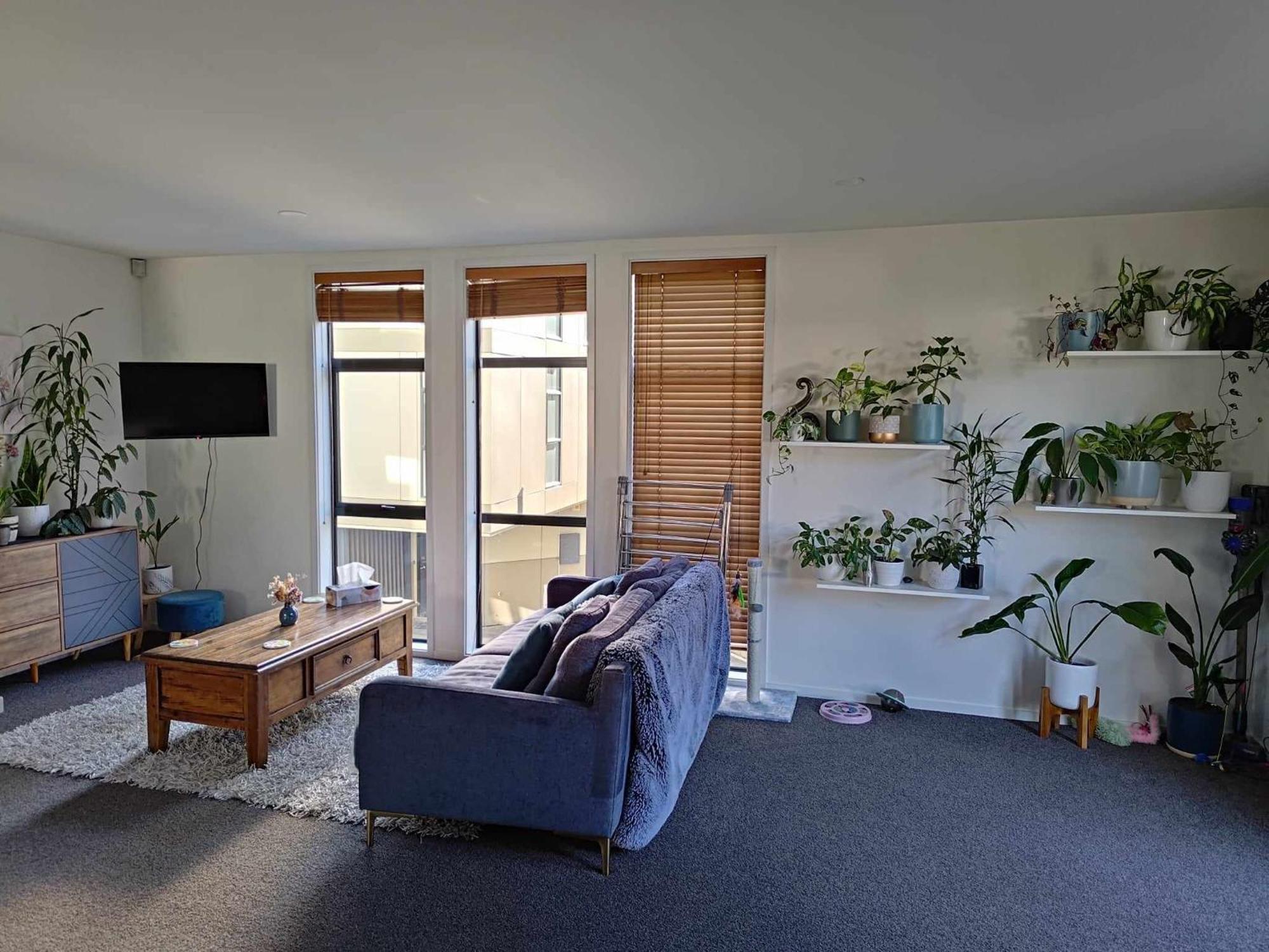 City Stay Christchurch Ngoại thất bức ảnh